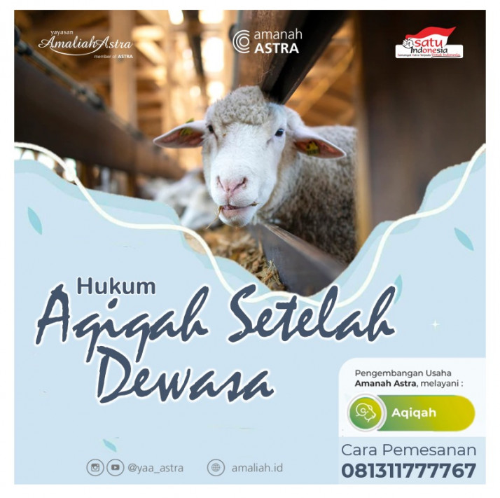 WhatsApp Image 2022-02-05 at 07.45.36.jpeg